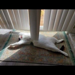 Meet your Posher, Avery